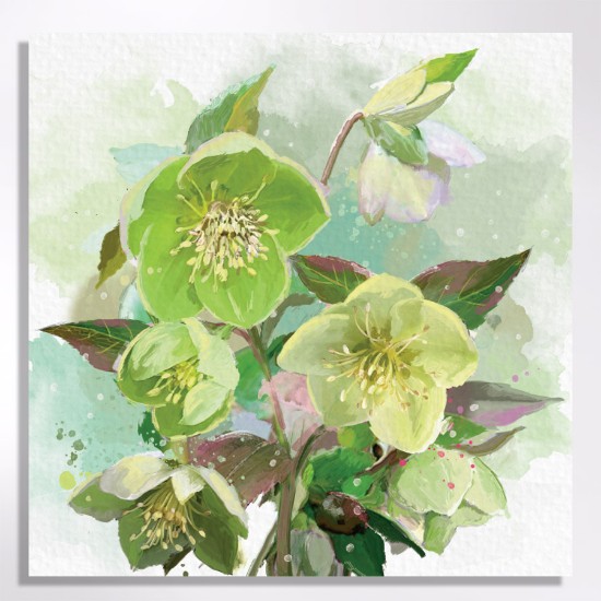 Picture of Winter hellebore - Christmas cards