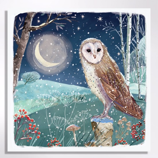 Picture of Winter owl - Christmas cards
