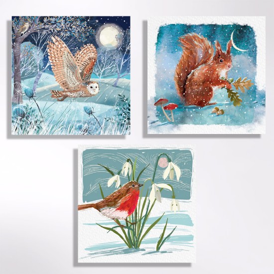 Picture of Winter wildlife mixed pack - Christmas cards