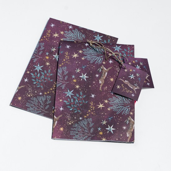 Picture of Woodland Trust gift wrap and tags -  Xmas hare under the stars