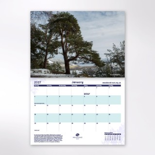 Picture of Woodland Trust tree calendar 2027