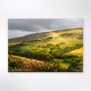 Picture of Woodland Trust tree calendar 2027