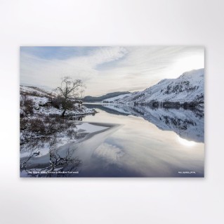 Picture of Woodland Trust tree calendar 2027