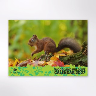 Picture of Woodland Trust wildlife calendar 2027