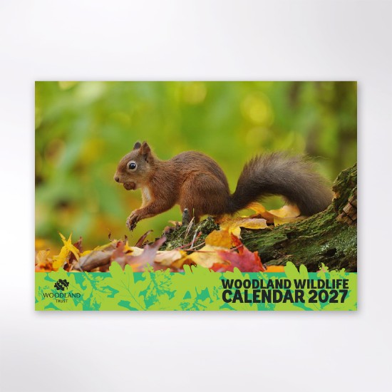 Picture of Woodland Trust wildlife calendar 2027