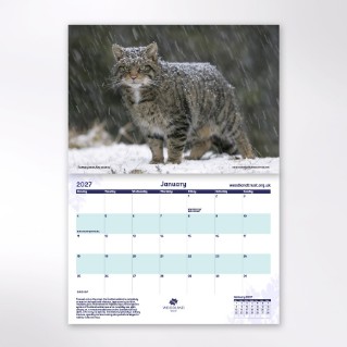 Picture of Woodland Trust wildlife calendar 2027