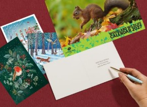 Picture for category Cards and calendars