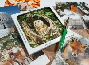 Picture for category Notecards & paper