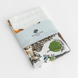 Picture of Woodland owls and birds tea towel