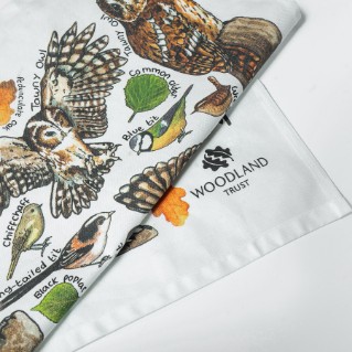 Picture of Woodland owls and birds tea towel