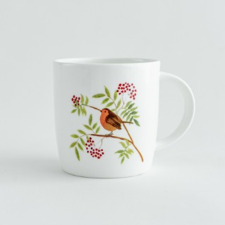 Picture of Robin mug