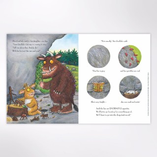 Picture of Gruffalo Granny (hardback)