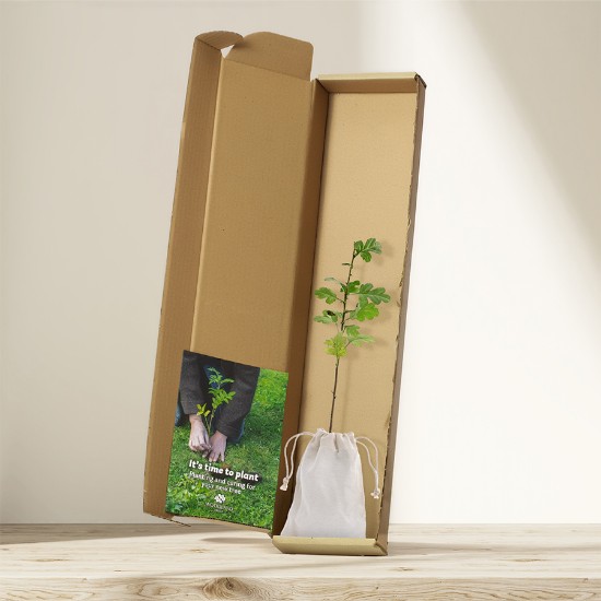 Picture of Hawthorn tree gift – tree of hope
