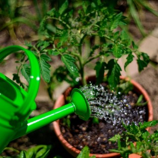 Picture of Bigjigs green watering can